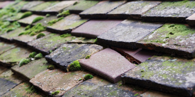 Eridge Green roof repair costs
